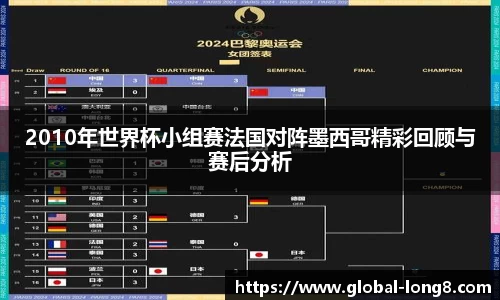 2010年世界杯小组赛法国对阵墨西哥精彩回顾与赛后分析